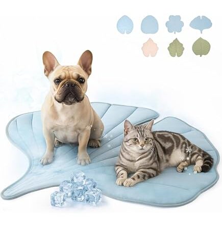 Franse Bulldog en kat zitten samen op blauwe bladvormige koelmat met ijsblokjes op witte achtergrond.